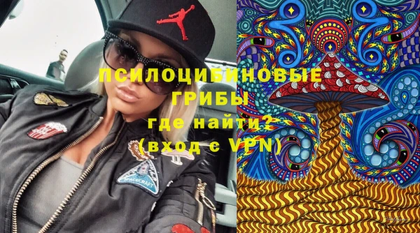 соль курить ск Бородино