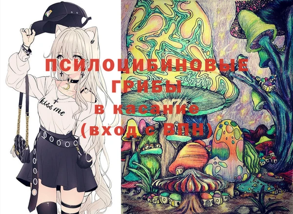 соль курить ск Бородино