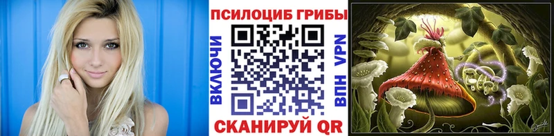Псилоцибиновые грибы MAGIC MUSHROOMS Новохопёрск