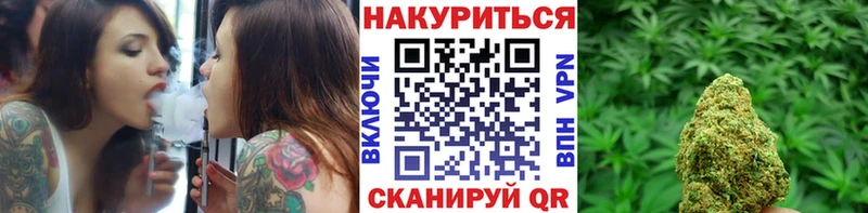 где можно купить наркотик  Новохопёрск  Шишки марихуана план 